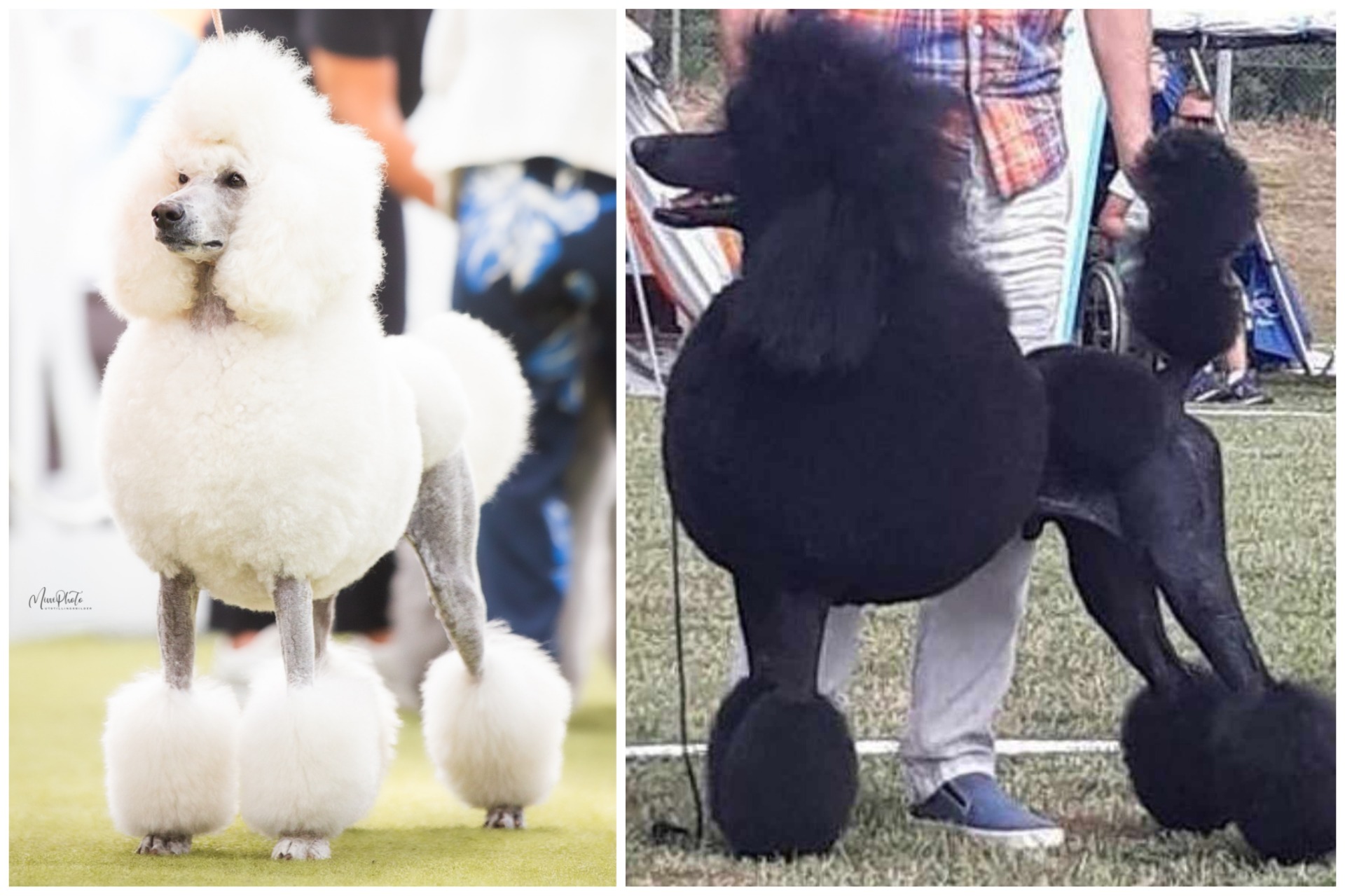 MOR                &              FAR 