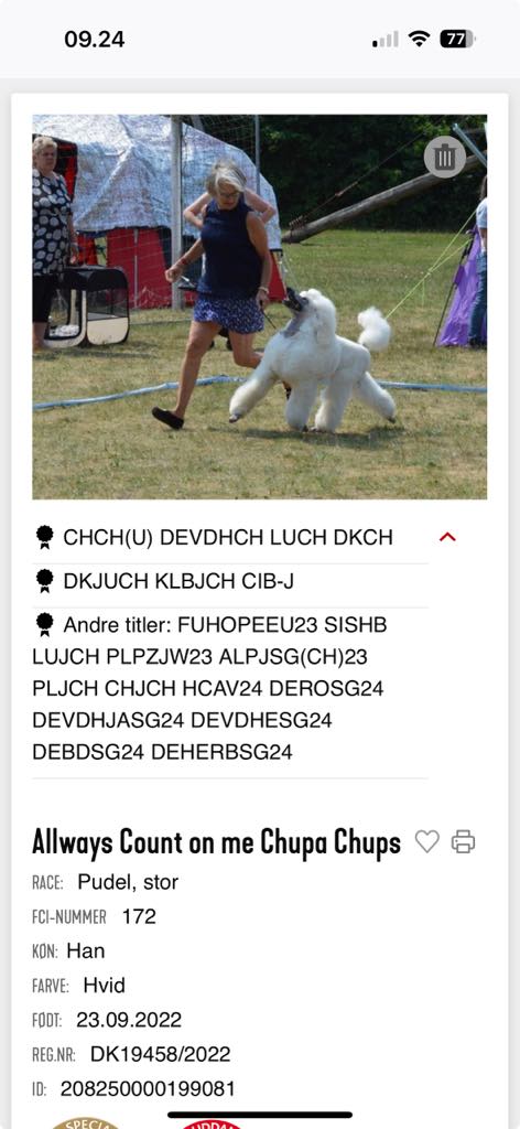 Info om Chupas titler 